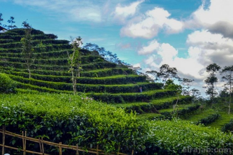 wisata alam kulon progo
