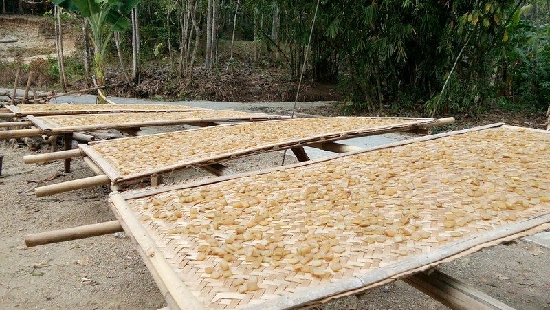 manfaat kerupuk kulit