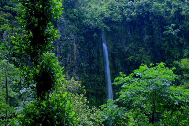 Air Terjun Kali Pancur