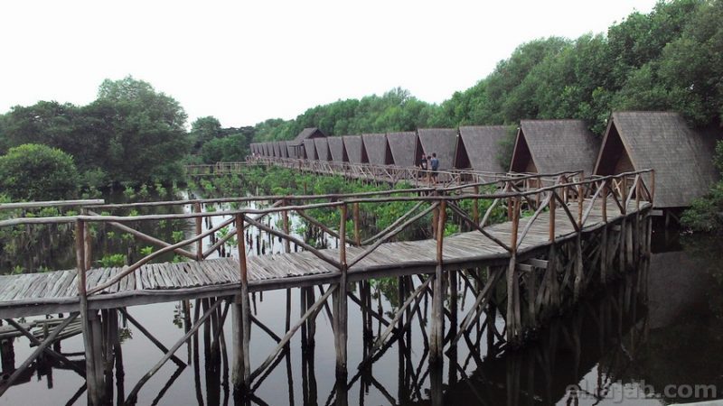 taman wisata alam mangrove
