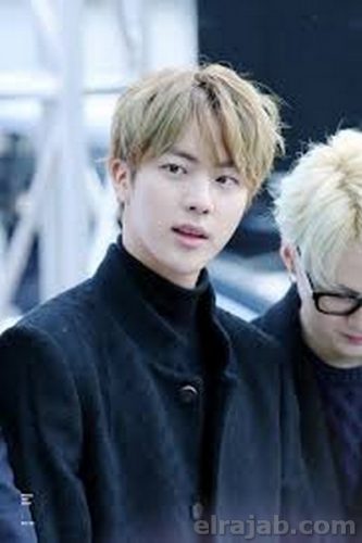 biodata seok jin bts