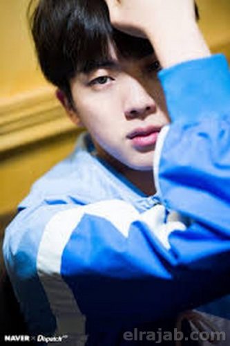 profil biodata jin bts