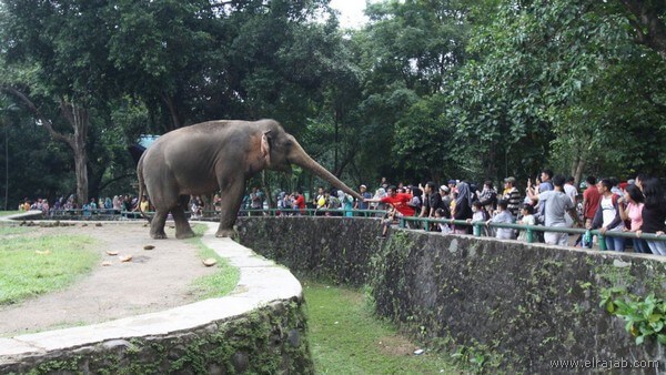 tempat wisata anak di jakarta