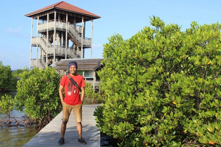 Hutan Bakau di Pulau Kemujan