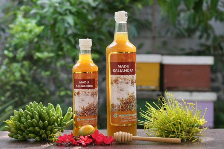 jual madu kaliandra
