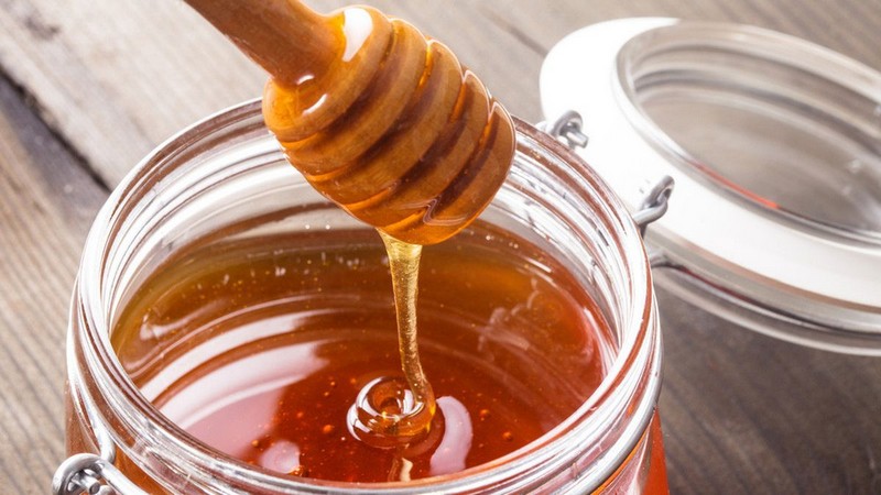 madu asli murni