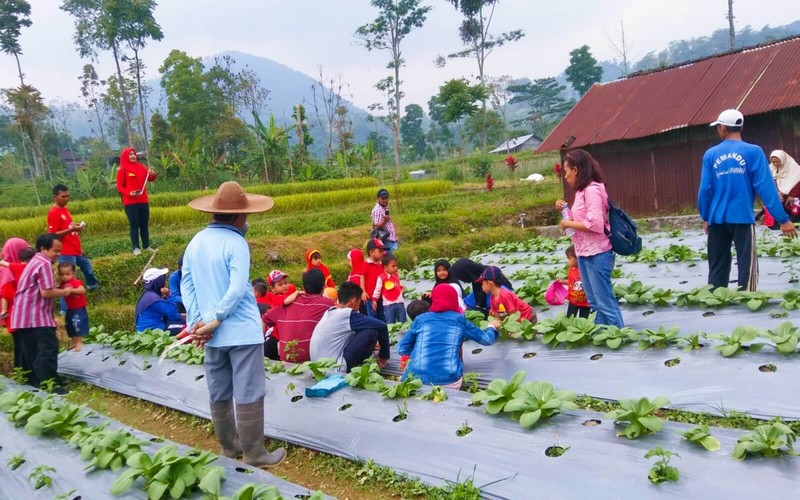wisata alam solo